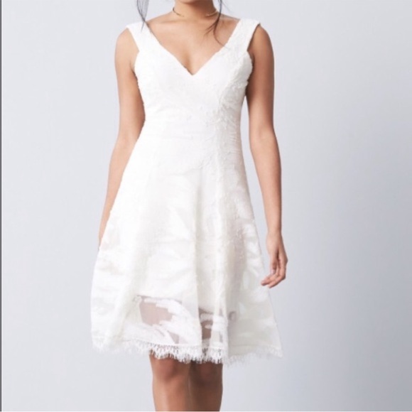DRESS the POPULATION NWT Ivory Maya Lace Mesh Overlay Fit 'n Flare Dress, M - Picture 6 of 16